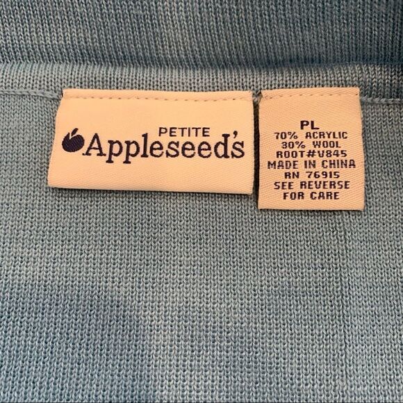 Appleseeds Skirt and Top Set Blue Size Large - Picture 5 of 12